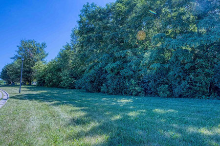 Vacant Land in Rockford, IL